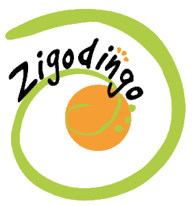 LOGO-Zigodingo2